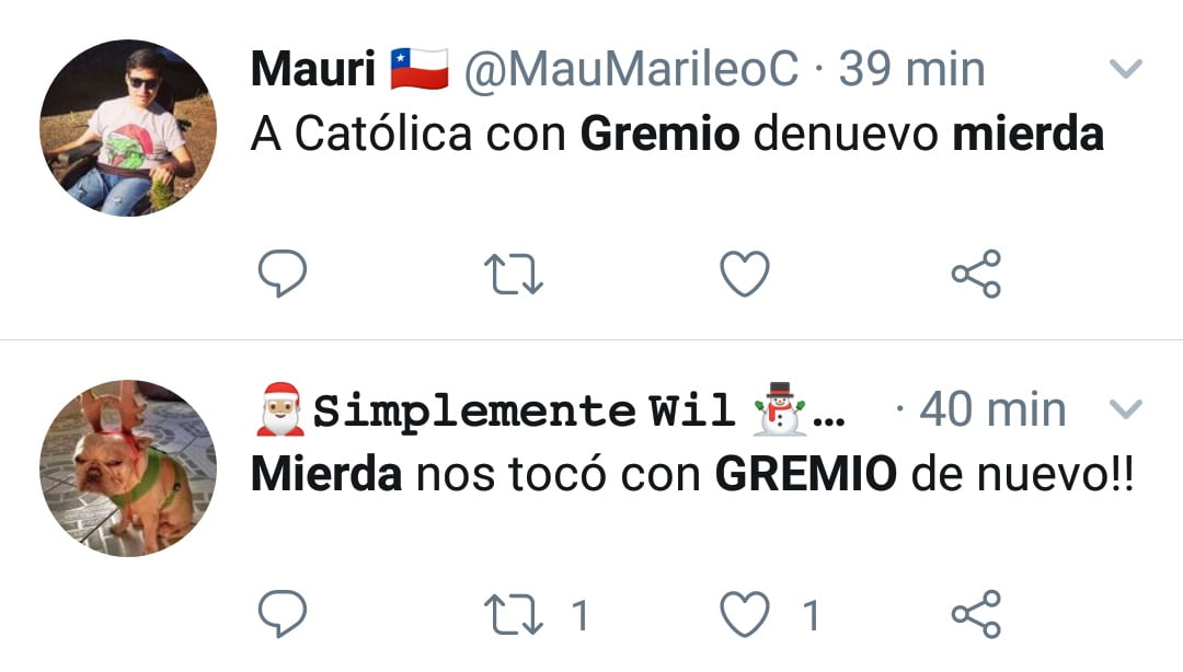 catolica 2