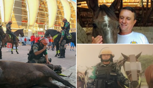 Brigada Militar homenageia Justiceira, égua que faleceu em serviço no Beira-Rio Égua