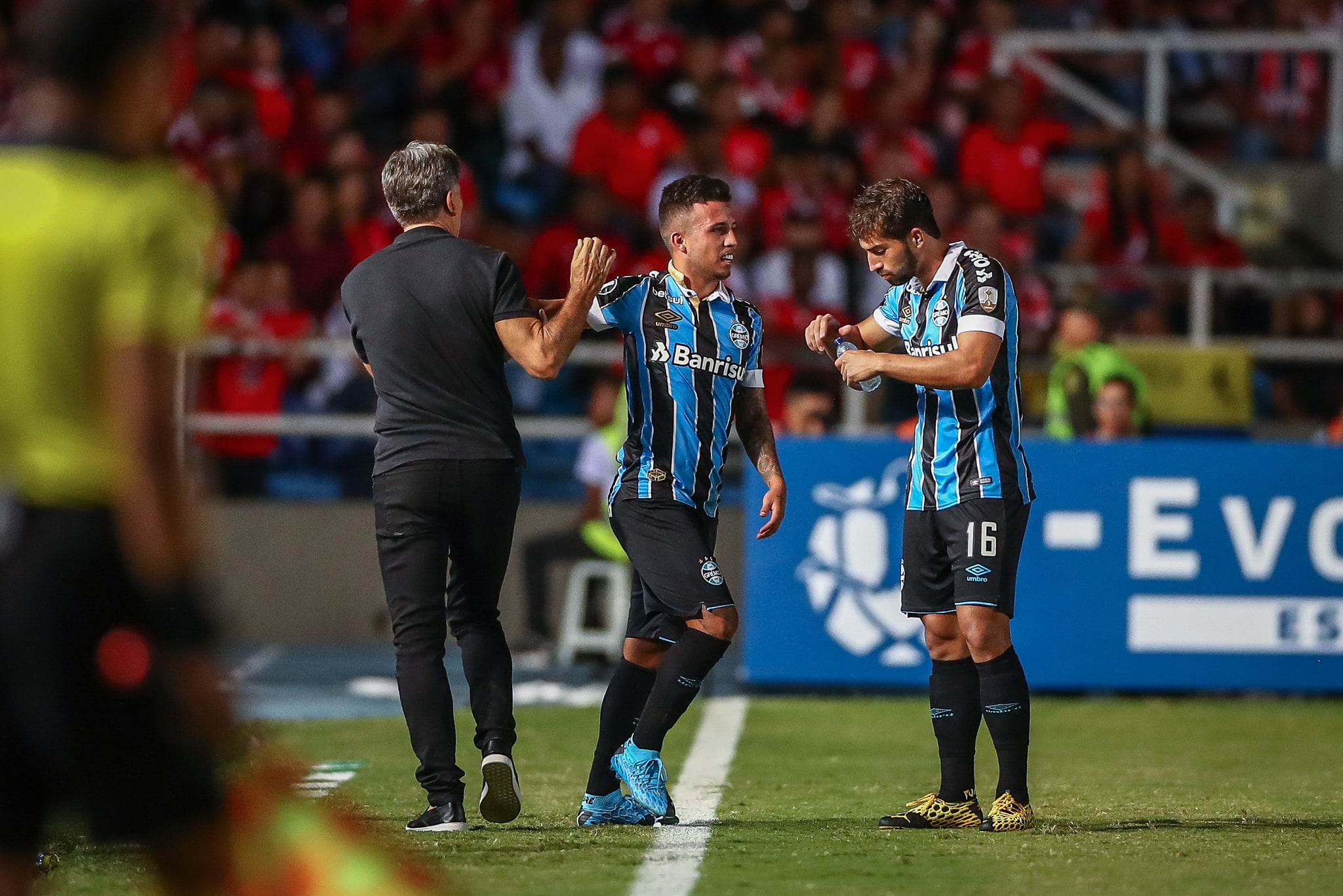 Renato
