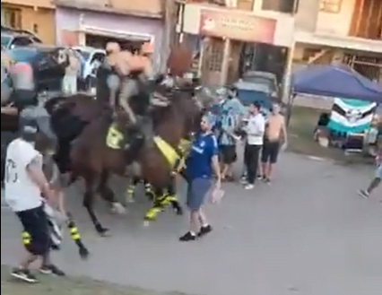 Cavalo