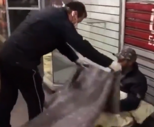 VÍDEO - Em meio ao frio, Dunga entrega cobertor para morador de rua Dunga