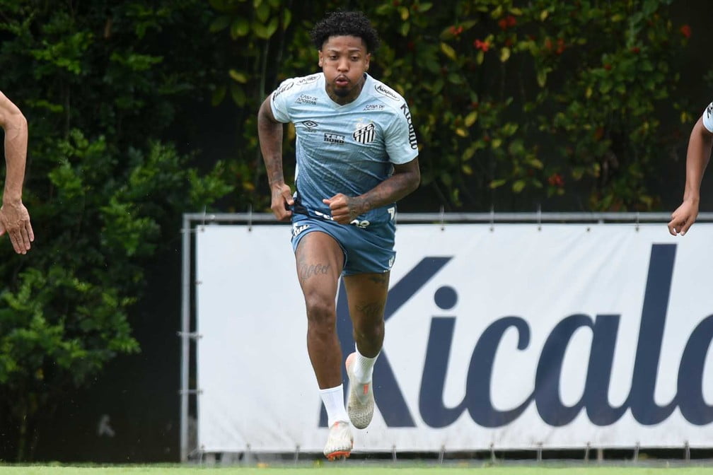 Ao contrário de Bolzan, Marinho não vê favoritismo entre Santos e Grêmio: "Em jogo assim, passa longe" Marinho