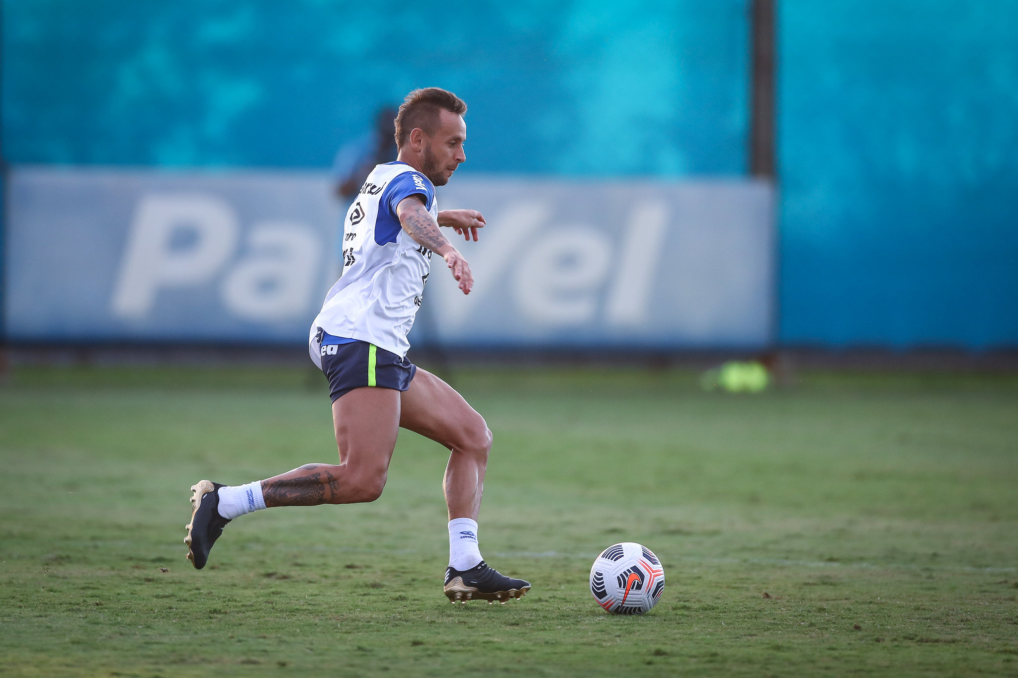 Com possíveis estreias, veja provável escalação do Grêmio, horário e transmissão contra o Caxias Grêmio