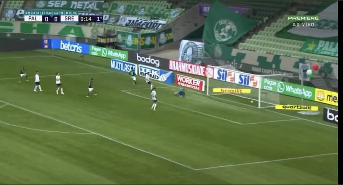 Palmeiras