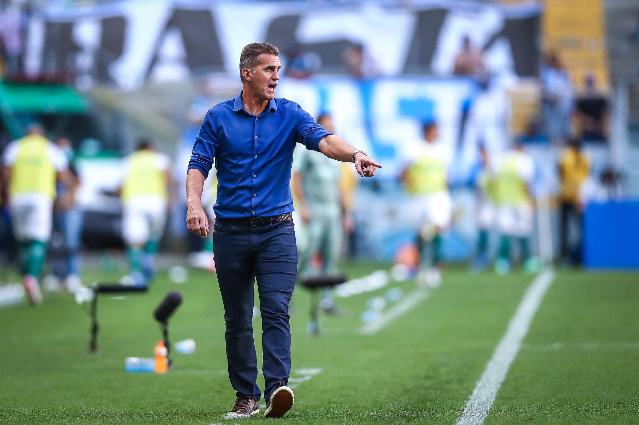 Mancini