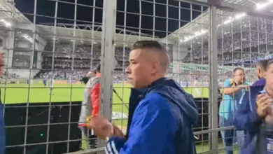 Vídeo mostra "lado torcedor" de D'Alessandro nos minutos finais da vitória do Cruzeiro sobre o Grêmio D'Alessandro acompanha jogo entre Cruzeiro x Grêmio