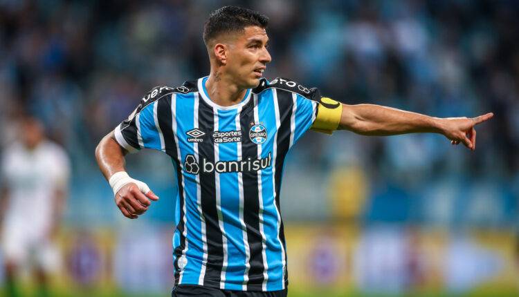 Grêmio tem Suárez e Renato