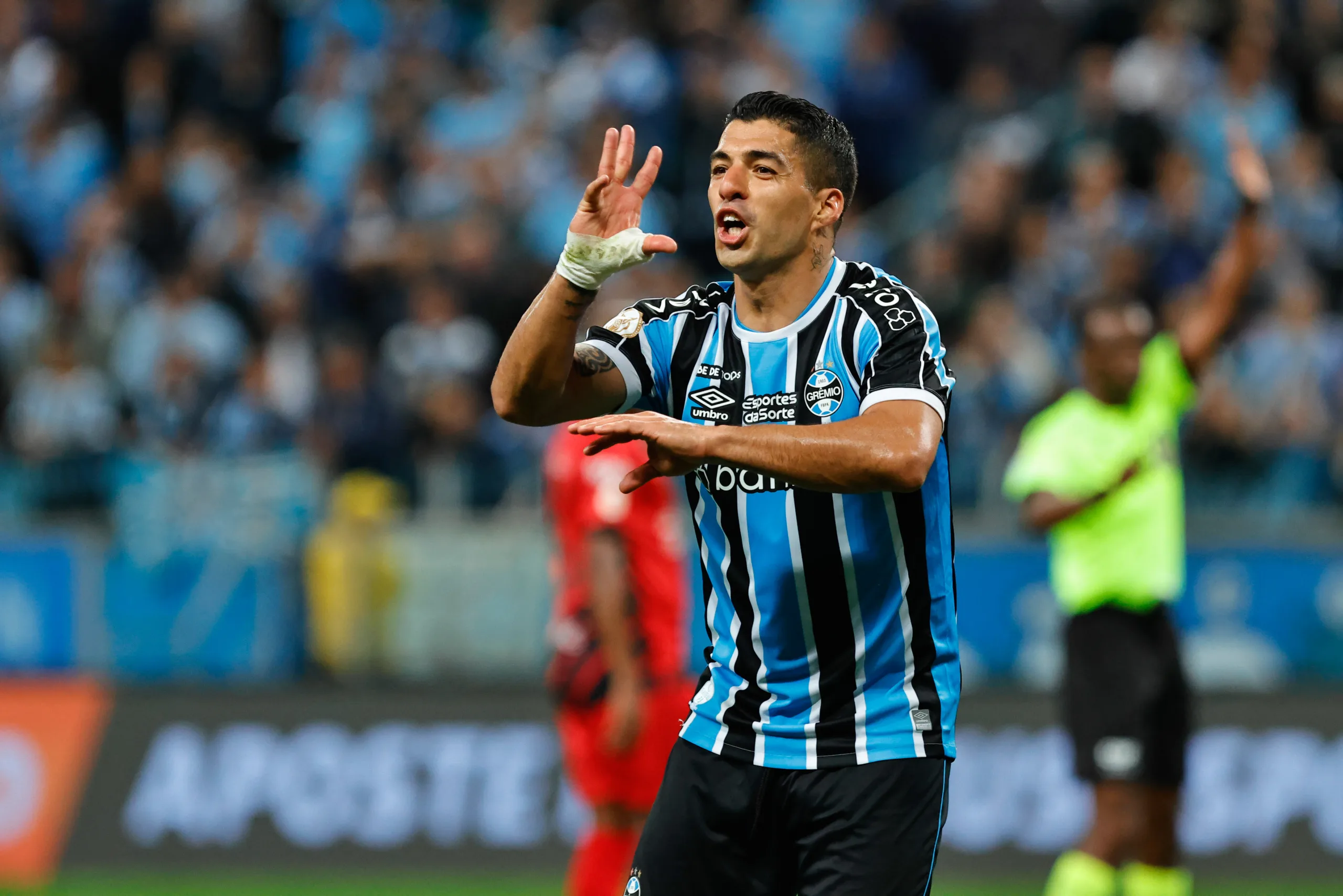 Suárez