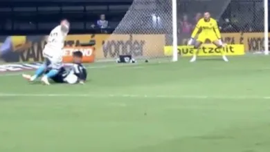 Botafogo e Grêmio