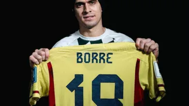Borré Inter