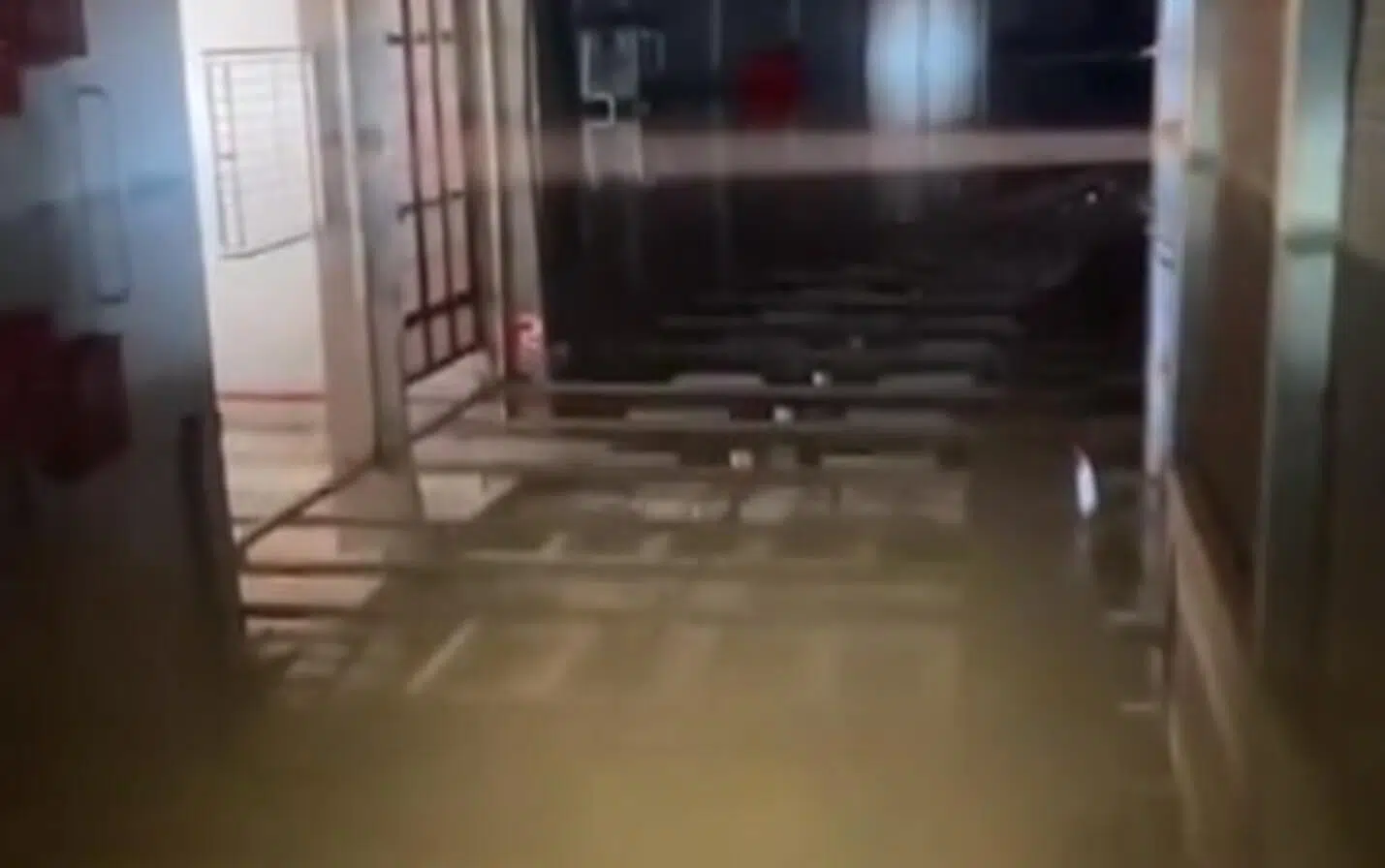Como estão o Beira-Rio e a Arena em mais um dia de inundação em Porto Alegre; veja vídeo Arena