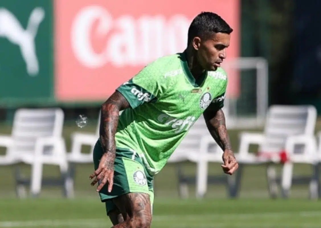 Dudu Palmeiras e Cruzeiro e Grêmio