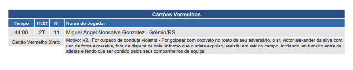 Súmula diz que jogador do Grêmio foi responsável por "tumulto" contra o Botafogo