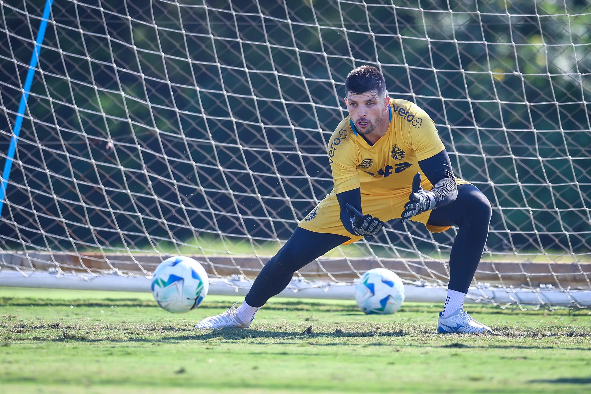 Grêmio coloca Volpi "em análise" e cogita contratar goleiro para a titularidade Tiago Volpi pelo Grêmio