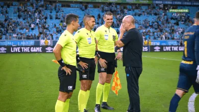 Mano Menezes e arbitragem em Grêmio x Santos, Brasileirão 2025