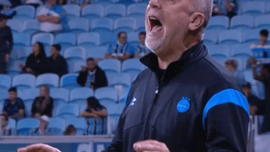 Mano Menezes pelo Grêmio