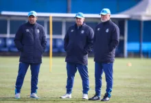 Grêmio quer um novo reforço para dar a Mano Menezes