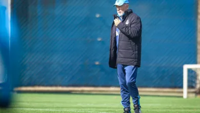 Mano Menezes pelo Grêmio