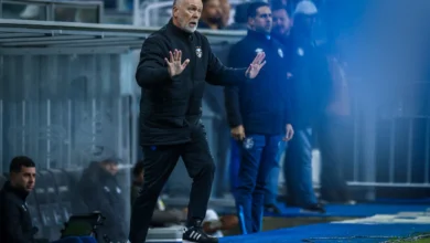 Grêmio com Mano Menezes