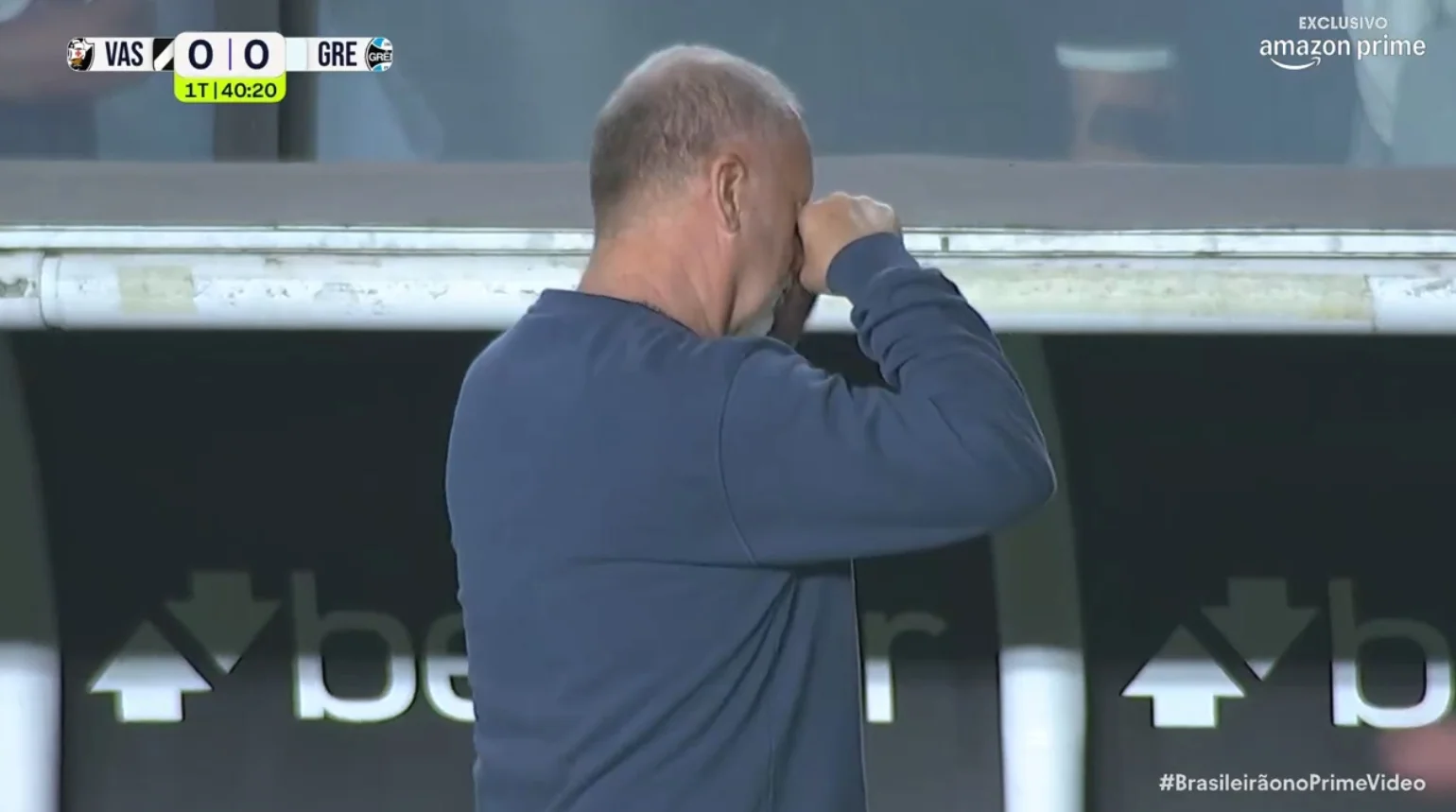Vasco x Grêmio: os gestos de Mano Menezes para um torcedor após gol anulado Mano Menezes em Vasco x Grêmio