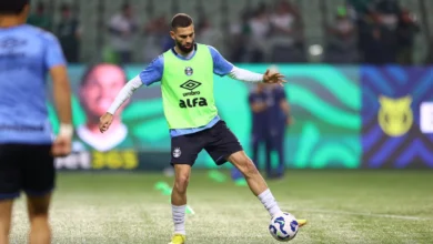 A situação do Grêmio na tabela e o próximo jogo após a derrota para o Palmeiras Grêmio perdeu