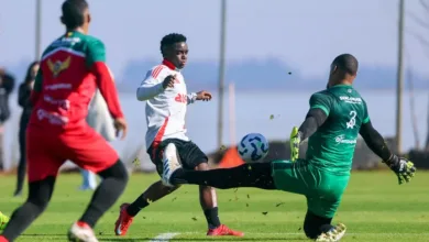 Carbonero reforça o Inter