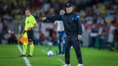 Mano Menezes pelo Grêmio