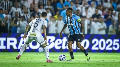 Grêmio Oficial / Flickr