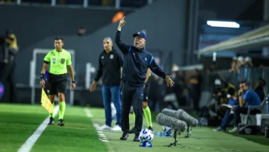 Mano Menezes pelo Grêmio