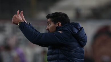 Palmeiras de Abel Ferreira