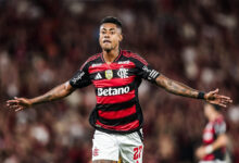 Fotos: Gilvan de Souza/Flamengo