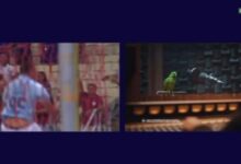 Bizarro! Gol do Grêmio tem erro inacreditável de Brenno e papagaio de "narrador" Grêmio faz gol