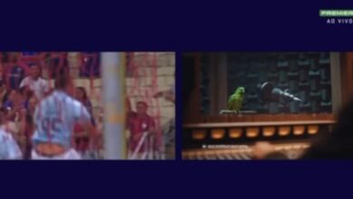 Bizarro! Gol do Grêmio tem erro inacreditável de Brenno e papagaio de "narrador" Grêmio faz gol