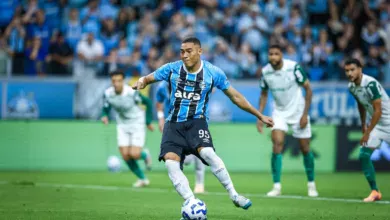 RS - FUTEBOL/CAMPEONATO BRASILEIRO 2025/GREMIO x PALMEIRAS - ESPORTES - Lance da partida entre Gremio e Palmeiras disputada na noite desta terca-feira, na Arena do Gremio, em partida valida pela Campeonato Brasileiro 2025. FOTO: LUCAS UEBEL/GREMIO FBPA