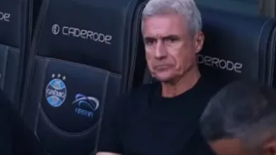 Súmula de Daronco explica cartão para Luís Castro e relata atitude de Fabinho Soldado Luís Castro pelo Grêmio