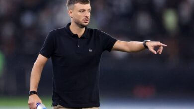 Anselmi ex-Botafogo e Inter