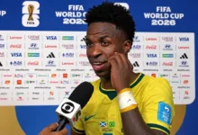 Vini Jr, Brasil