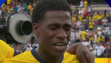 Equador de Félix Torres