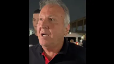 Zico alerta Ancelotti e sugere mudança urgente por mais protagonismo no Brasil Zico Inter Alan Patrick
