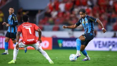 UFMG atualiza risco de queda no Brasileirão e vê Inter mais ameaçado que o Grêmio Grêmio