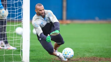 Vídeo mostra Weverton indo comemorar com a torcida um dos gols do Grêmio Weverton pelo Grêmio