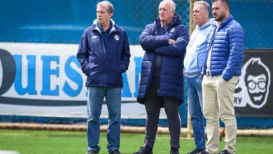 Paulo Pelaipe, Luiz Felipe Scolari