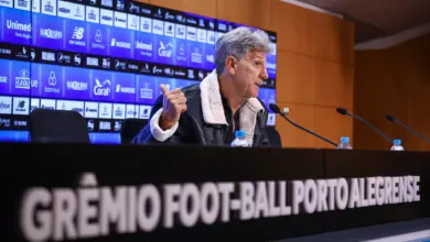 Renato Portaluppi — Renato hoje